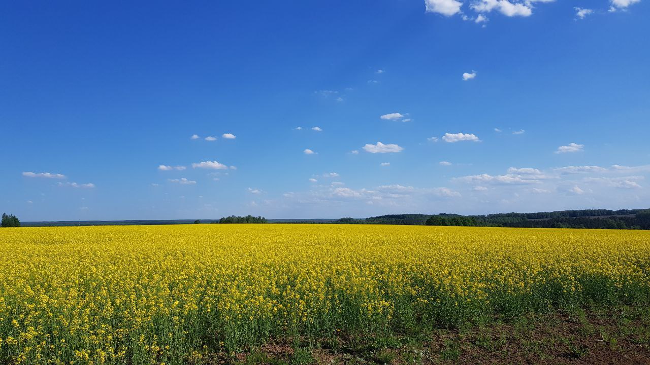Гравийная гонка Калуга