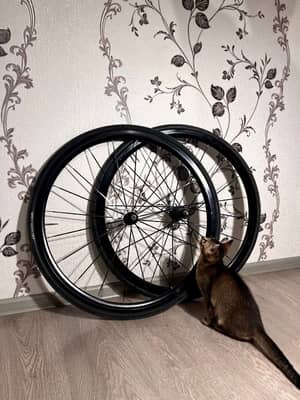 Mavic Ellipse Track