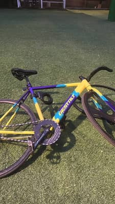 Fixed Gear Gestalt
