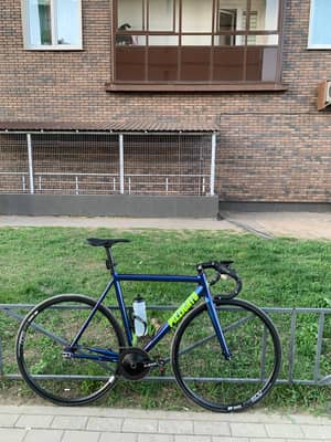 Pizzicato t1 55size