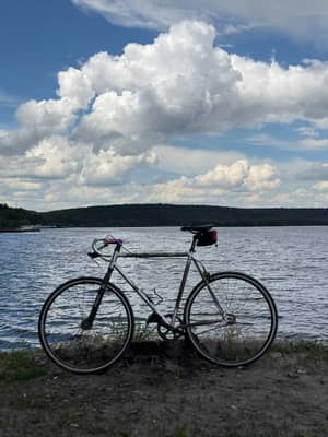 Bearbike