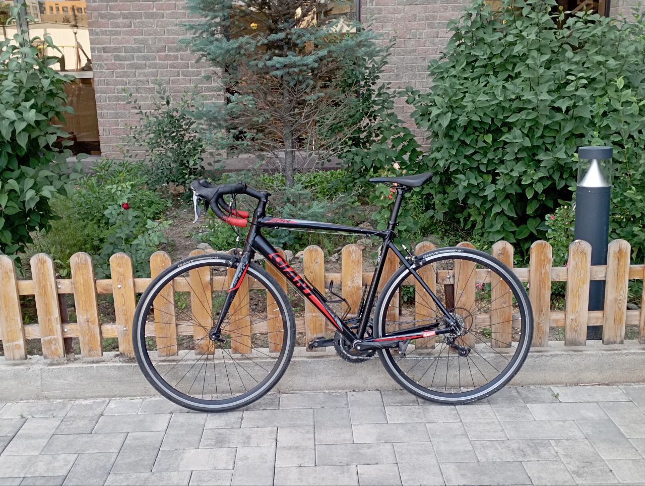 Giant SCR 01