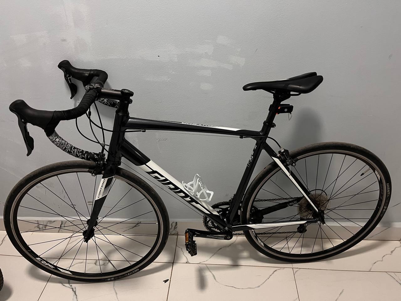 Giant contend 3
