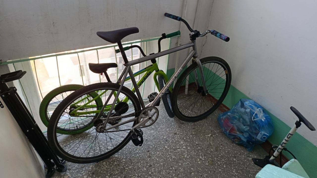 Велосипед NS Bikes Analog L