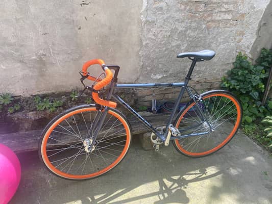 Capriolo Fast Boy 2025