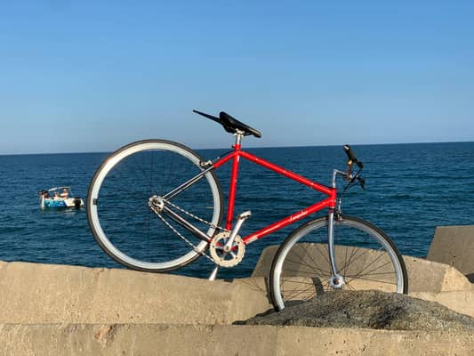 Specialized Langster Steel 2010